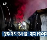 경주 돼지 축사 불…돼지 150여 마리 폐사