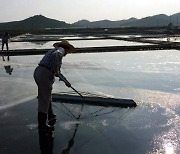 “염전 노예 실체 확인하겠다”던 유튜버 되레 검찰 송치