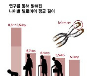 노화 해결할 열쇠?…"젊어질 수 있다면" 주사 맞으러 일본행까지