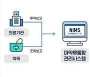 "이 환자 마약류 처방이력 있어요"…6월부턴 팝업 뜬다