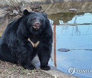 제주도 적응 끝, 나들이 나선 반달가슴곰