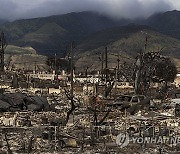 Hawaii Wildfires Debris