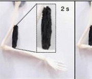 KAIST 개발 '헤라클레스 인공근육' 국제화학연합 10대 기술 선정