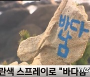 울산 대왕암 '바다남' 낙서범 잡혀도 '벌금 10만원'…경찰 수사착수