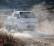 천안 산란계 농장서 고병원성 AI 확진…가금농장 27번째 사례