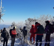 눈꽃 산행 즐기는 태백산 등산객들