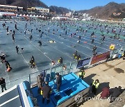 화천산천어축제 산천어 투입