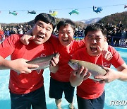 평창송어축제 '맨손으로 송어잡기'