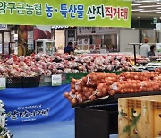 "양구 사과·꿀·시래기·쌀 맛 좋아요" 서울서 농특산물 특별판매