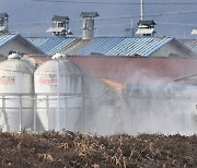 천안 산란계 농장 고병원성 AI…올 겨울 누적 27건 발생