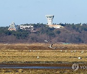 서산 천수만 찾은 반가운 손님 황새 28마리