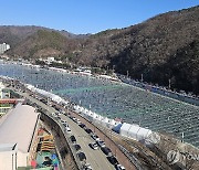 화천 산천어축제, 주말 맞아 북적