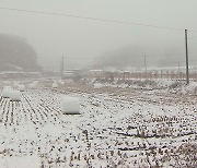 화요일 대구·경북 오후부터 비나 눈···최대 10cm 적설 예상