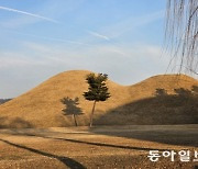 [바람개비]경주 대릉원