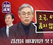 [나는 정치인이다] 김경율 비대위원 첫 단독인터뷰 : "조국, 4월 총선 출마 옳지 않아…잡범이다"