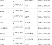 작년 시총 순위 변동 살펴보니···2차전지주 약진속 전통 대형주 부진