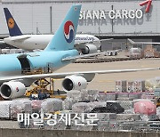 Air cargo business remains strong on continued high rates