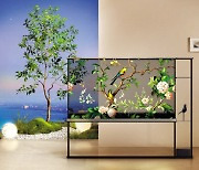 뒷모습 투영 투명 OLED TV [CES 2024 현장]