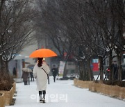 [포토] 눈은 내려도 포근한 날씨