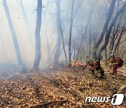 '밭두렁 태우다' 해남 야산서 산불…57분 만에 진화