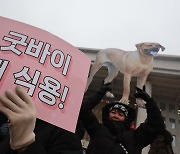 개 식용 종식에 동물보호단체 "오래 기다렸다" 개농장주 "망연자실"