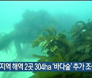 강릉지역 해역 2곳 304ha ‘바다숲’ 추가 조성