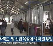 전라북도, 말 산업 육성에 47억 원 투입