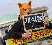 Lawmakers pass dog meat ban in Korea