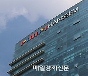 Hanssem cuts costs with social media marketing