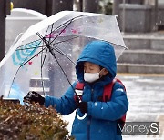 [머니S포토] 서울·경기 '대설주의보' 발령, 오후 더 많은 눈 내려…