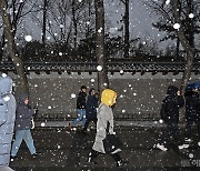 [헤럴드pic] 서울 및 수도권 대설주의보 발령