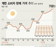 [그래픽] 계란 한판 7000원 또 넘었다…한 달새 1000원 올라