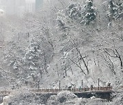 9일, 강원 산지 20cm 많은 눈