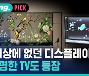 [비머pick] "세상에 없던 디스플레이"…미래 TV는 투명 TV