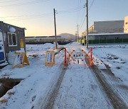 경기 안성 산란계 농장서 AI 항원…가금류 25만마리 예방적 살처분