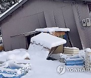 Japan Earthquake