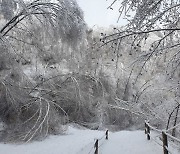 산림청, 대설 피해 예방 비상근무체계 가동