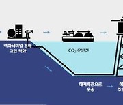 신산업으로 뜨는 '탄소 포집·수송·저장·활용' 지원근거 마련