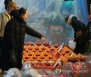 '감귤이 금귤' 귤값 27년 만에 최고가