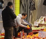 귤값 고공행진, 27년 만에 최고가