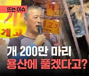 개 식용 금지법 통과..."용산에 개 200만 마리 푼다" 반발