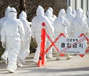 경북 의성 산란계 농장 AI 항원 검출…전국 농장·차량 일시이동중지