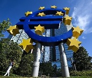 ECB 부총재 "유로존, 지난해 4분기 경기침체 빠져"