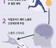 운동 안해도 ‘이 알약’만 삼키면 근육이 생긴다