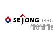 [특징주] 세종텔레콤, 제4이동통신 주파수 할당 ‘적격’ 소식에 상한가