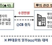 개발정보 빼돌려 CB 투자···증권사 PF 임직원들 천태만상