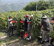 무주군, 3년 연속 공공형 계절근로사업 선정