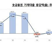 지난해 가계대출 10조원↑…주담대 상승세 이끌었다