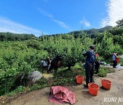 광양시, 2년 연속 전남도 친환경농업 ‘大賞’