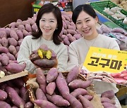 겨울철 별미 영양 간식, 맛있는 고구마 드세요~